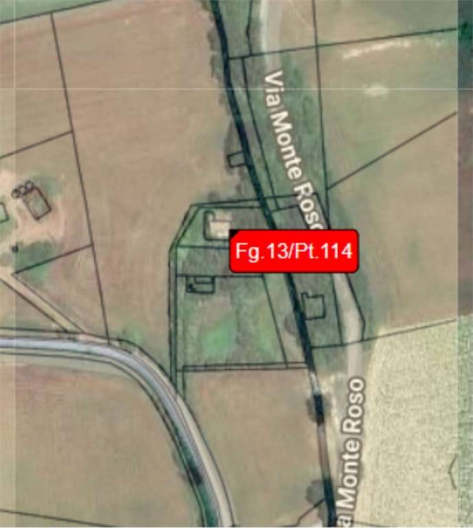 immagine annuncio 12 di 14