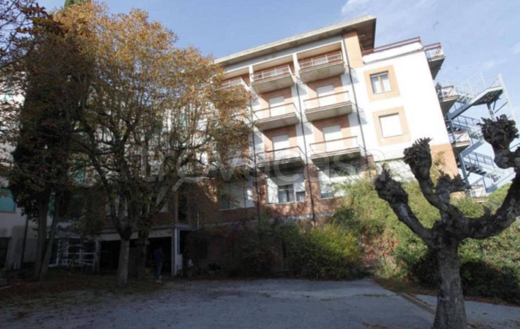 immagine annuncio 2 di 12