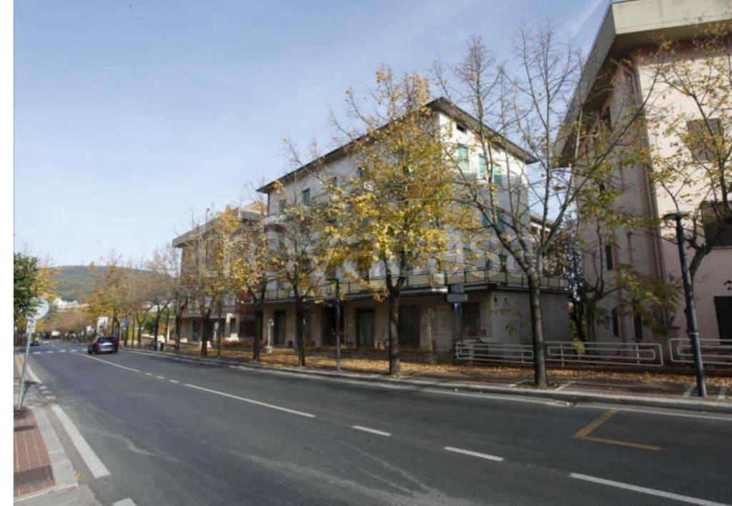 immagine annuncio 8 di 12