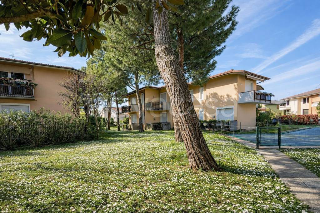 immagine annuncio 7 di 15