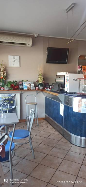 immagine annuncio 12 di 13