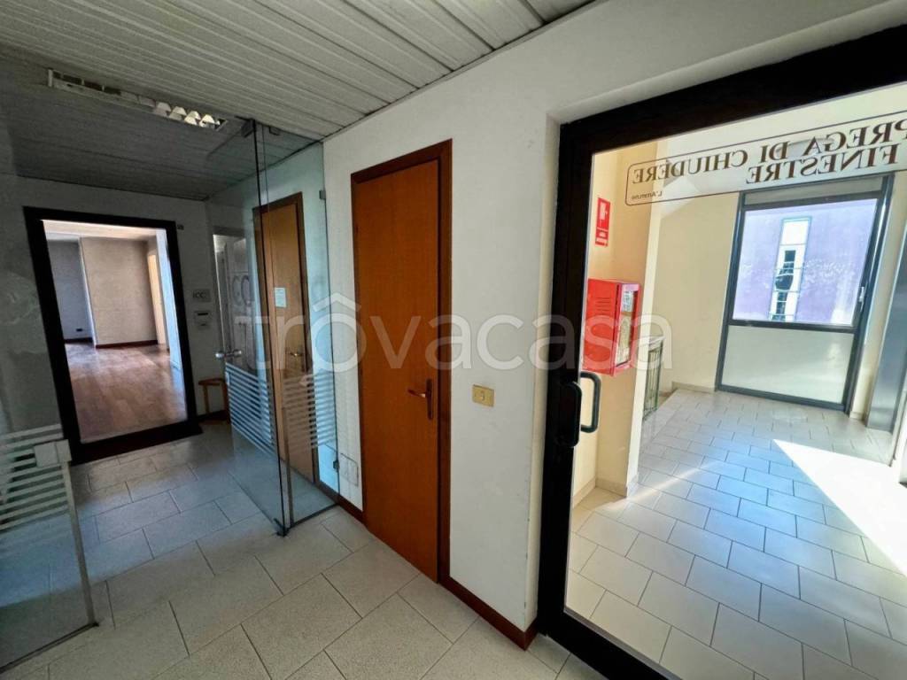 immagine annuncio 2 di 8