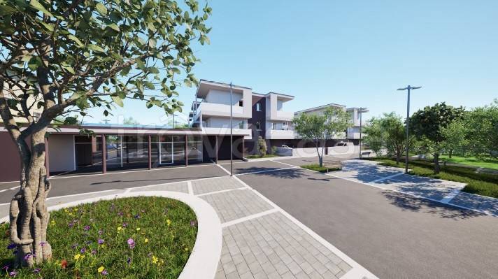 immagine annuncio 5 di 8