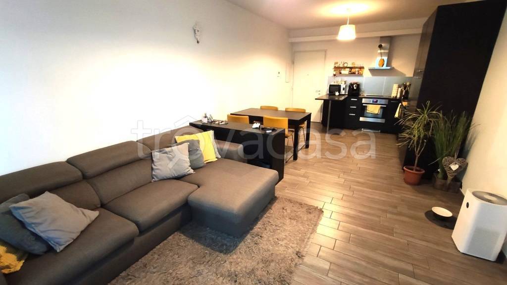 immagine annuncio 5 di 14