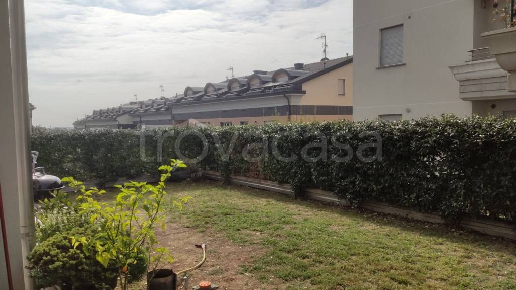 immagine annuncio 12 di 14