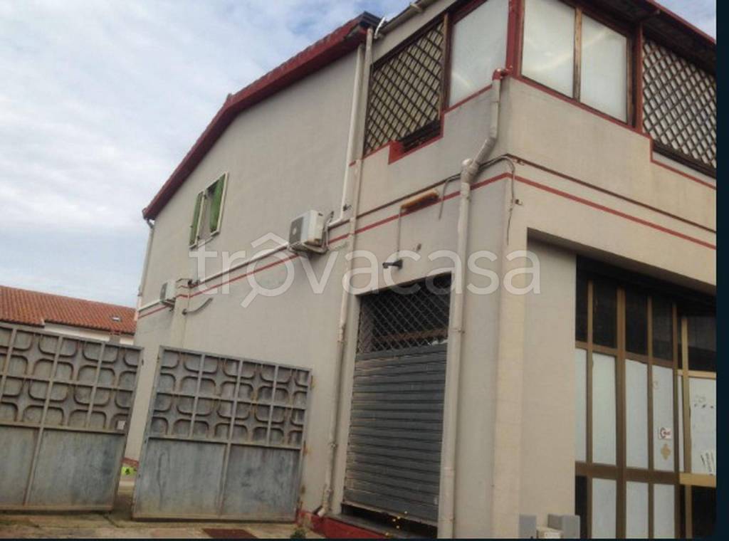 immagine annuncio 1 di 12