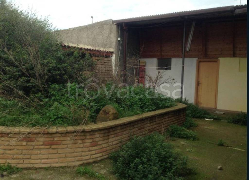 immagine annuncio 3 di 12