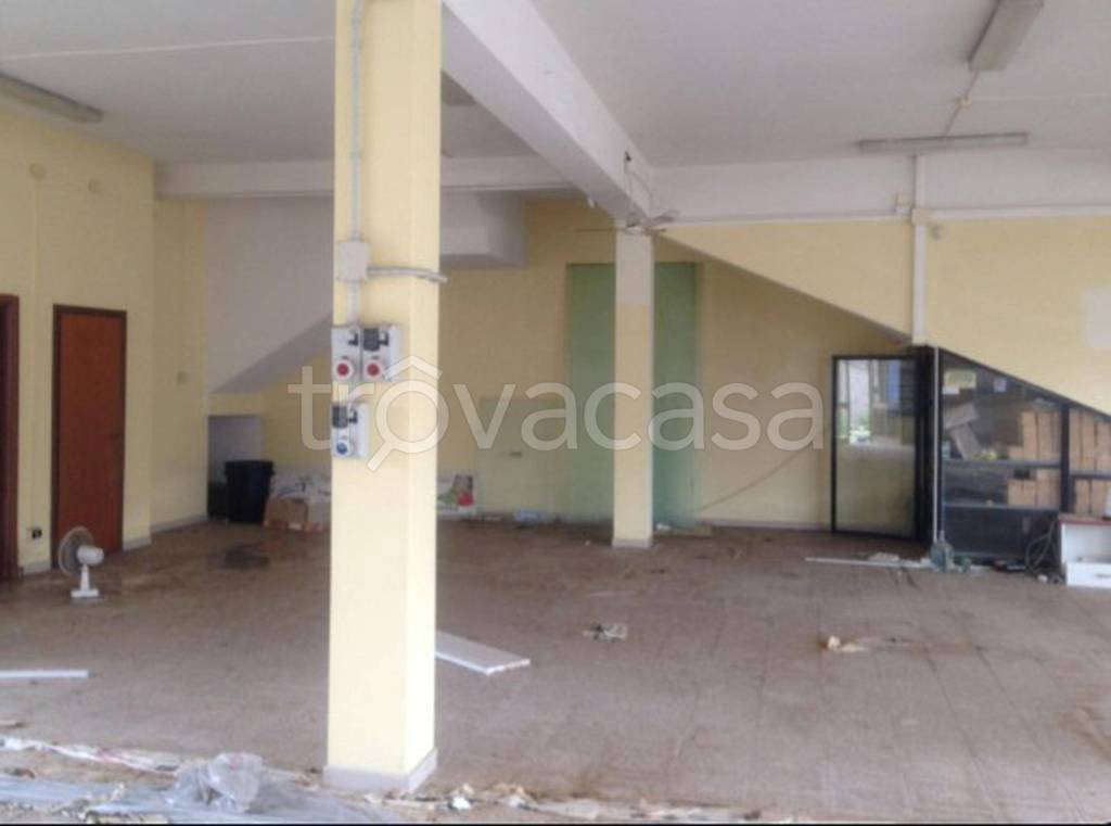 immagine annuncio 4 di 12