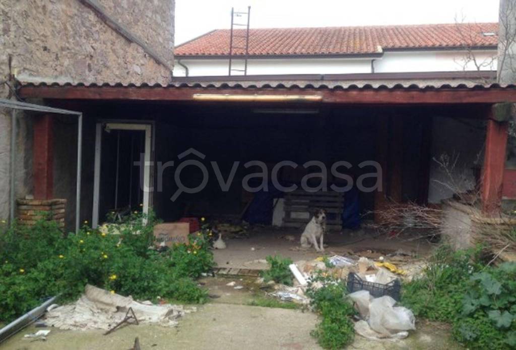 immagine annuncio 5 di 12