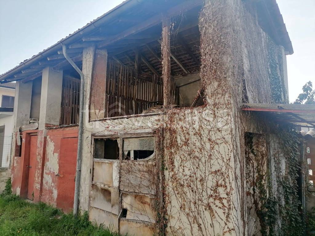 immagine annuncio 4 di 6