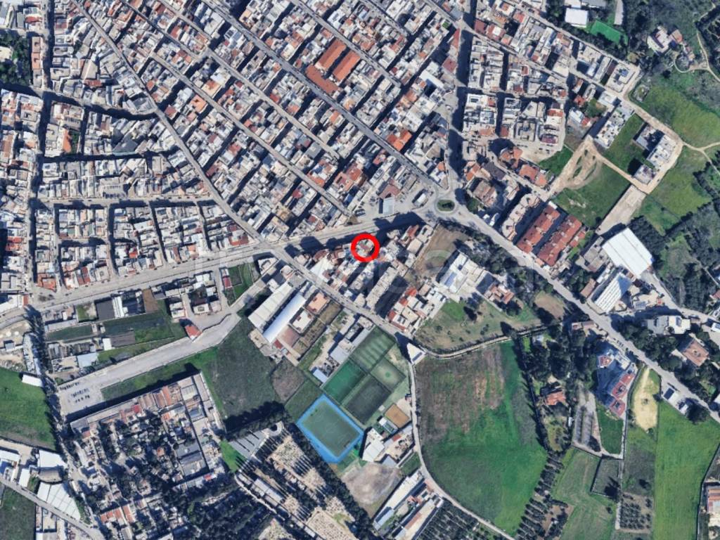 immagine annuncio 10 di 14