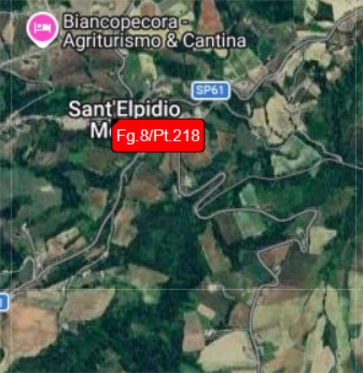 immagine annuncio 2 di 14