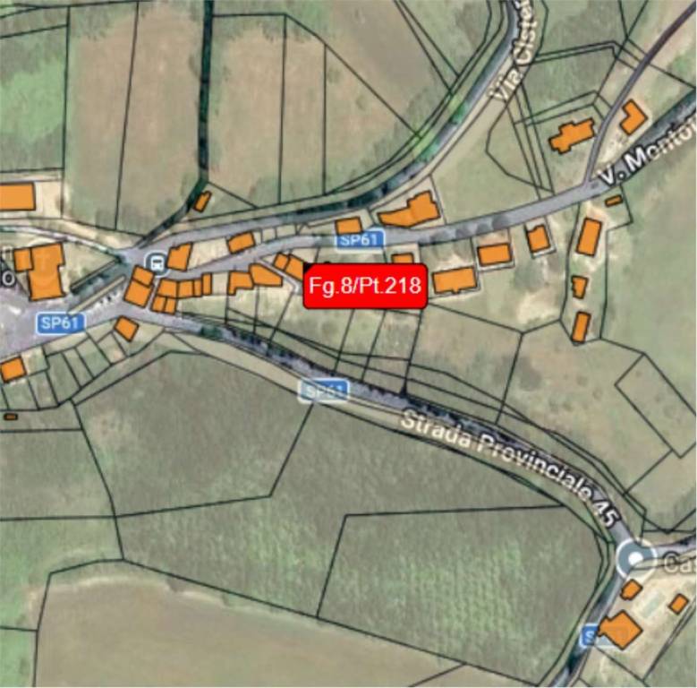 immagine annuncio 3 di 14