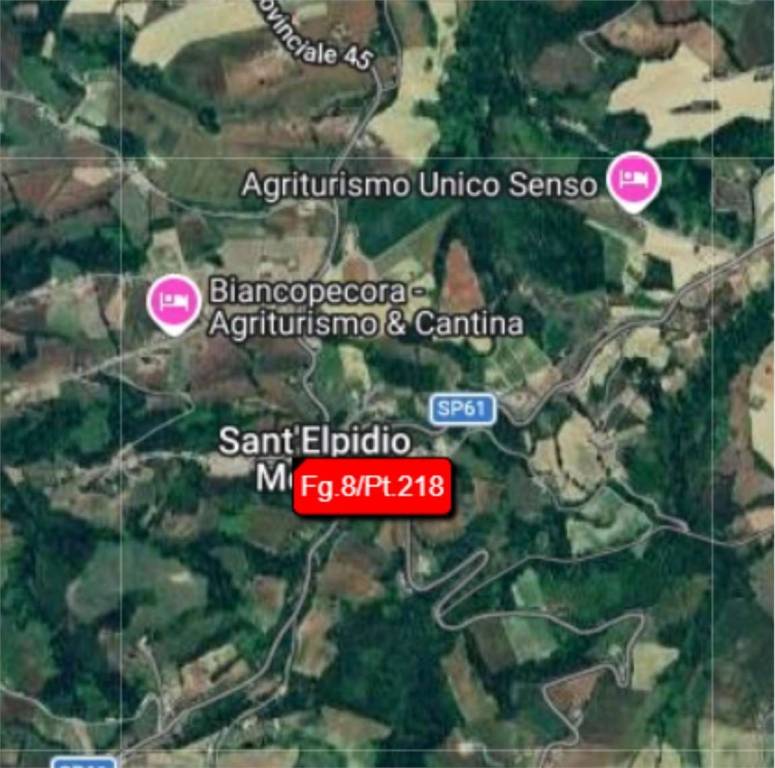 immagine annuncio 7 di 14