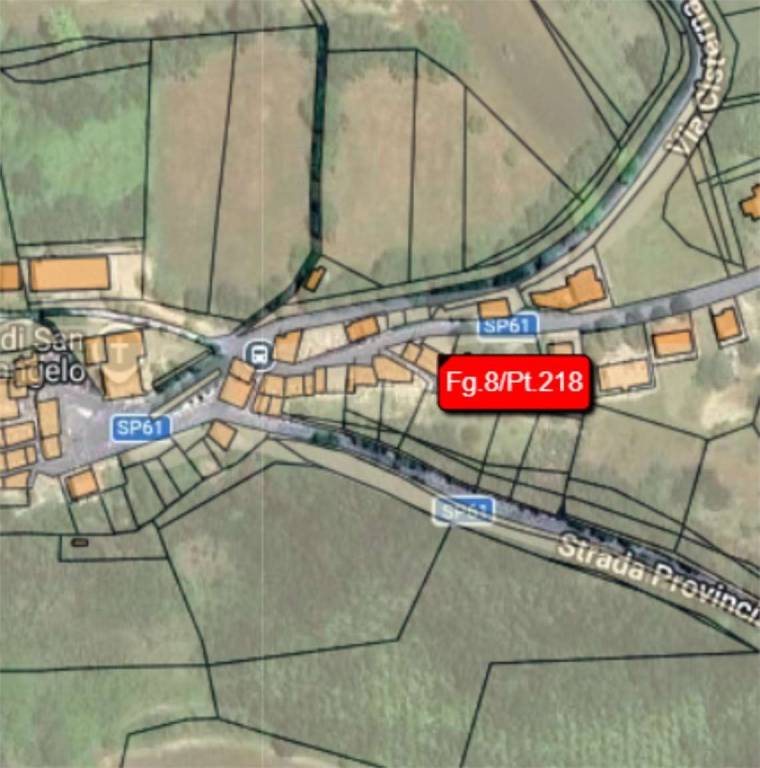 immagine annuncio 11 di 14