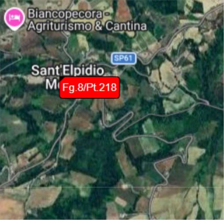 immagine annuncio 13 di 14