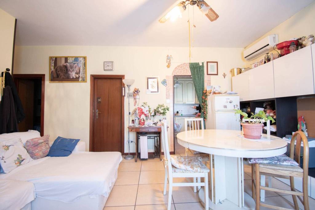 immagine annuncio 2 di 11