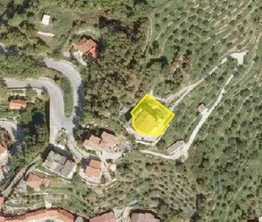 immagine annuncio 7 di 14