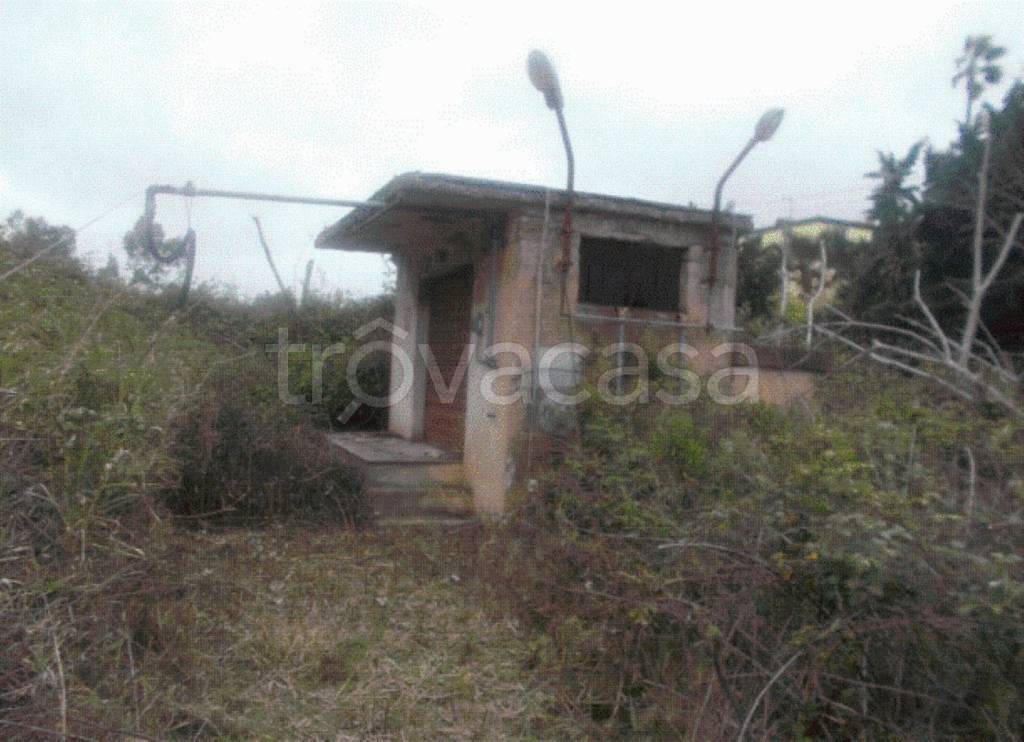 immagine annuncio 8 di 11