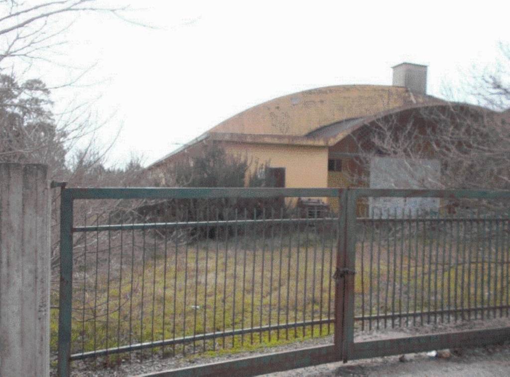 immagine annuncio 10 di 11