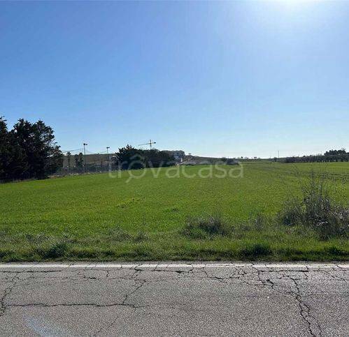 immagine annuncio 4 di 12