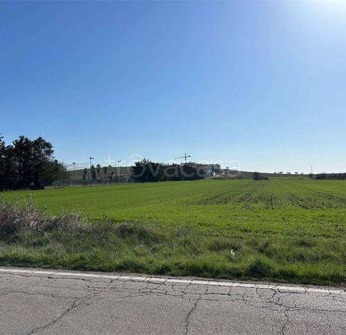 immagine annuncio 5 di 12