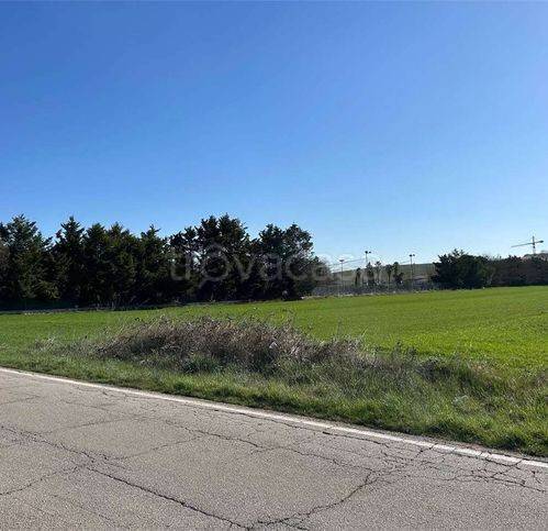 immagine annuncio 6 di 12