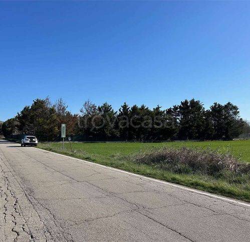 immagine annuncio 7 di 12