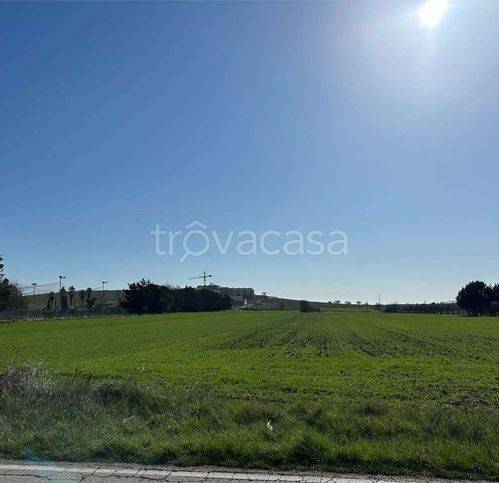 immagine annuncio 8 di 12