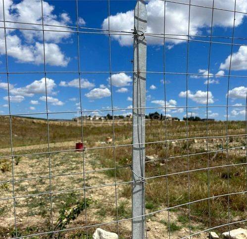 immagine annuncio 7 di 13