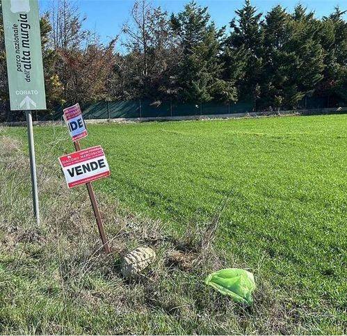 immagine annuncio 9 di 12