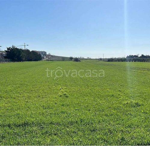 immagine annuncio 10 di 12