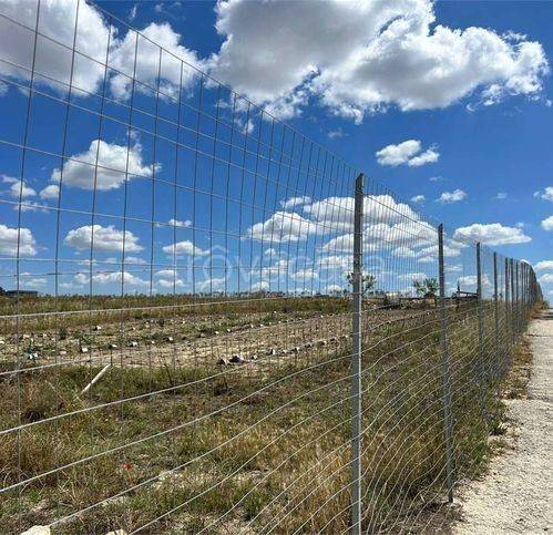 immagine annuncio 10 di 13