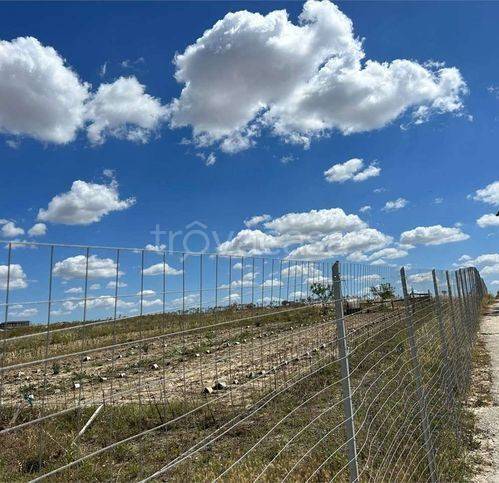 immagine annuncio 11 di 13