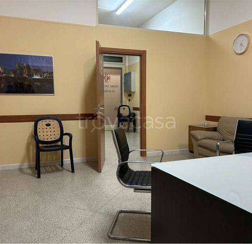 immagine annuncio 11 di 14