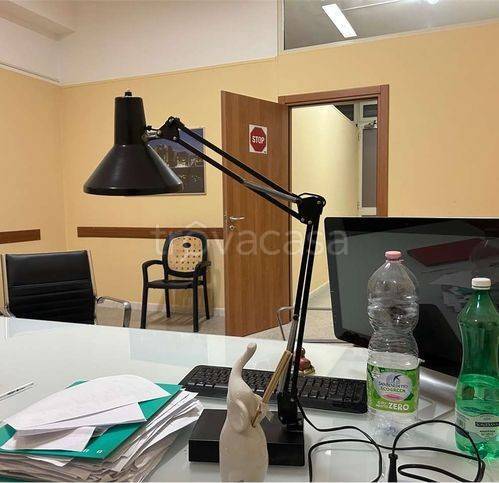 immagine annuncio 12 di 14