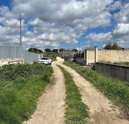 immagine annuncio 3 di 7