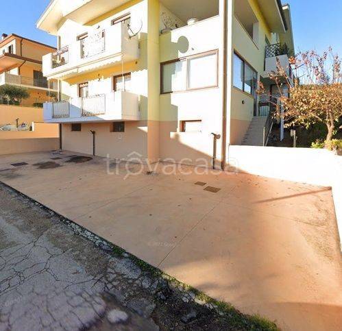 immagine annuncio 1 di 14