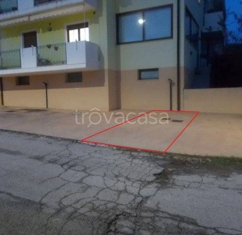 immagine annuncio 4 di 14