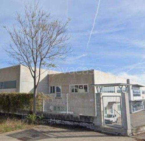 immagine annuncio 8 di 15