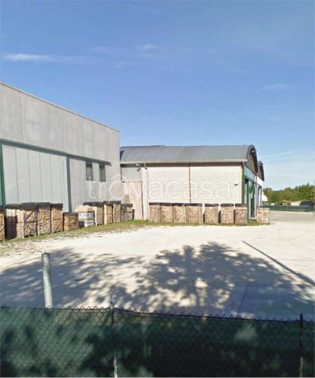 immagine annuncio 4 di 12