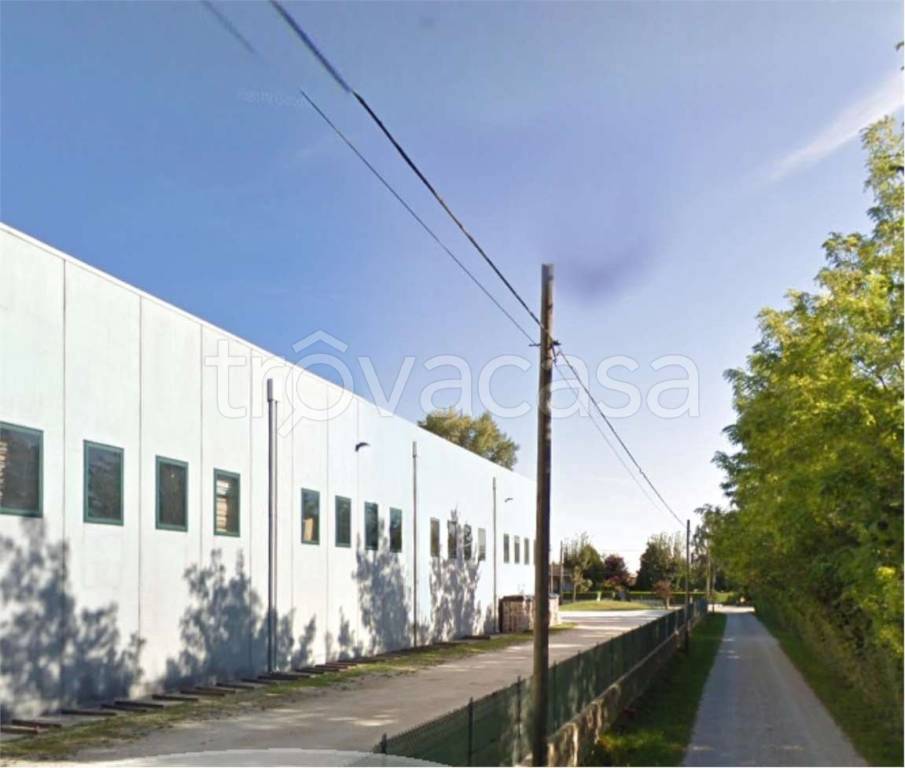 immagine annuncio 9 di 12