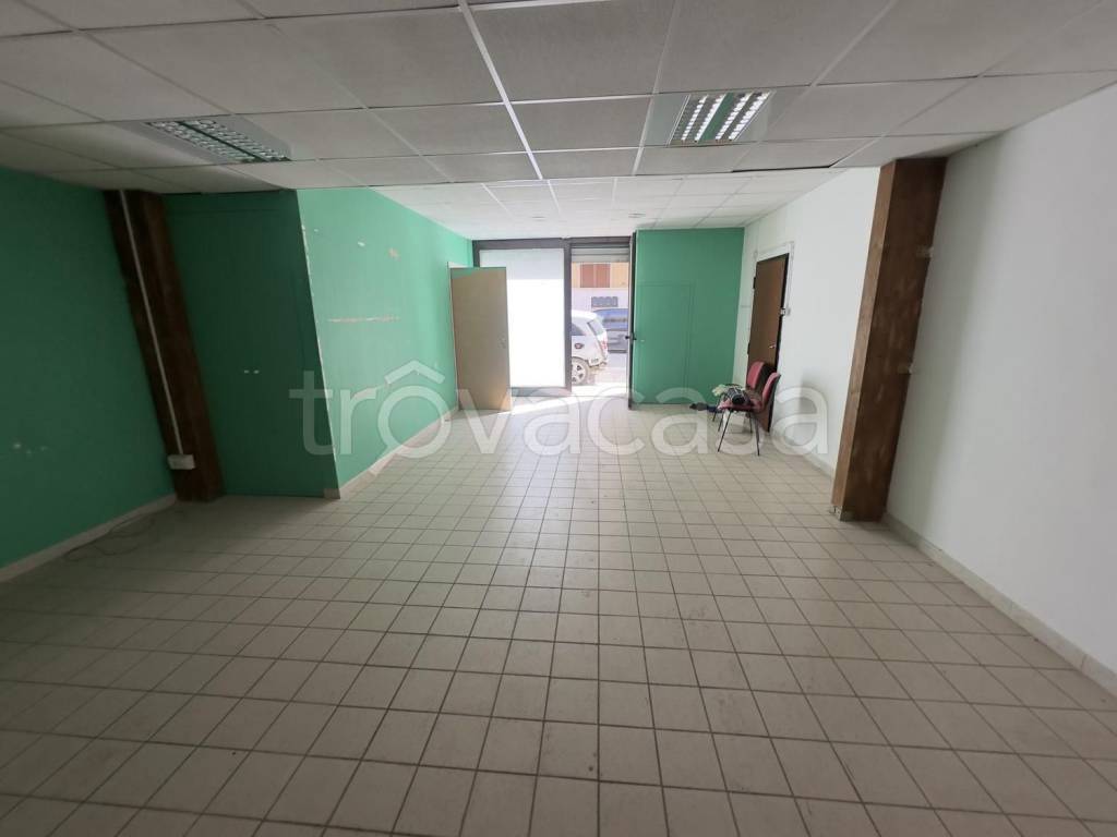 immagine annuncio 1 di 14