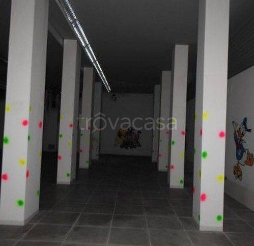 immagine annuncio 8 di 15