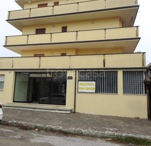 immagine annuncio 11 di 15