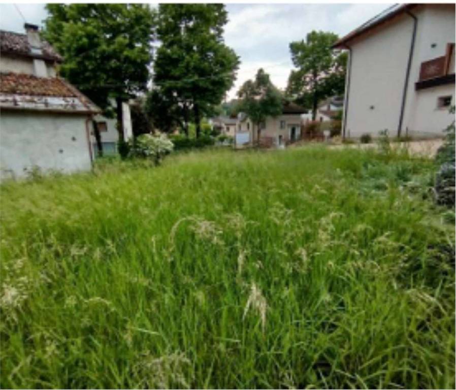 immagine annuncio 4 di 12