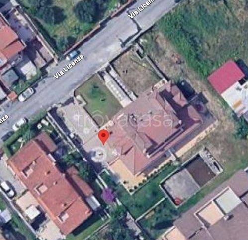 immagine annuncio 2 di 3