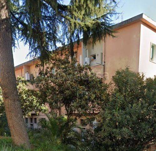 immagine annuncio 5 di 6