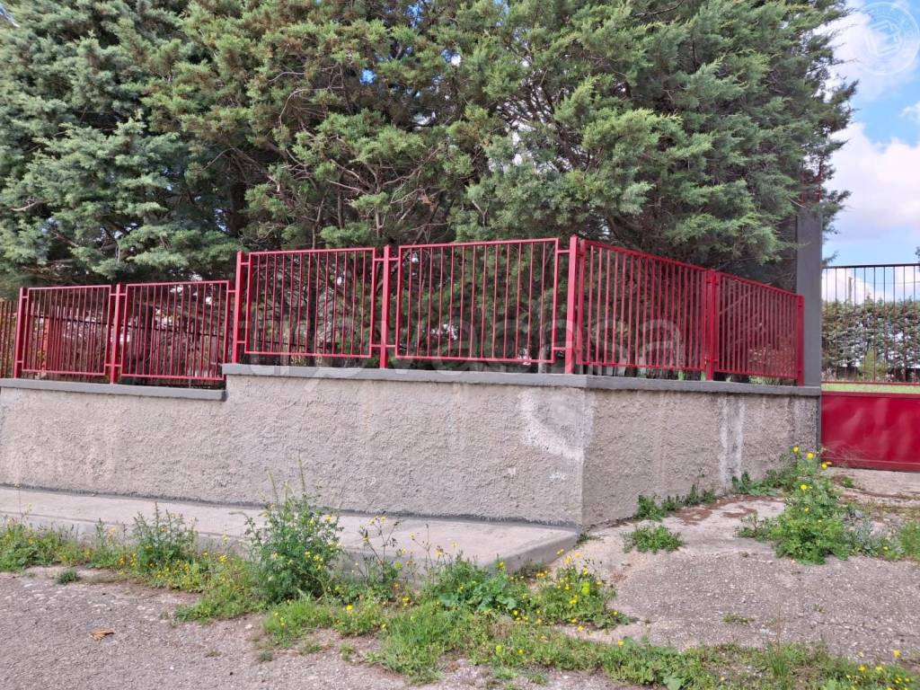 immagine annuncio 2 di 3