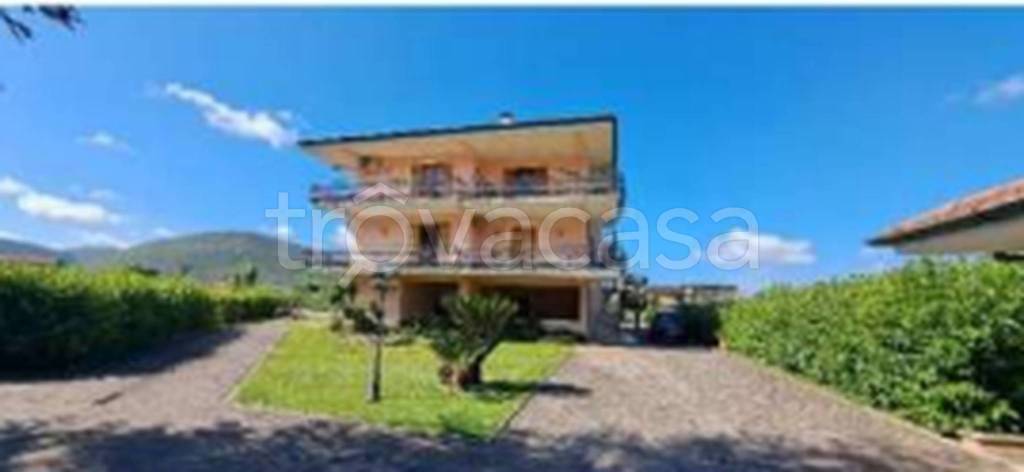 immagine annuncio 7 di 11